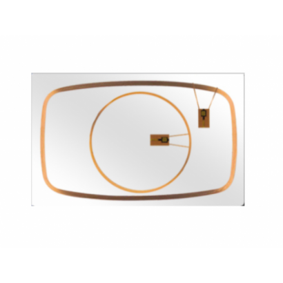 RFID smart Dual Frequency card-2